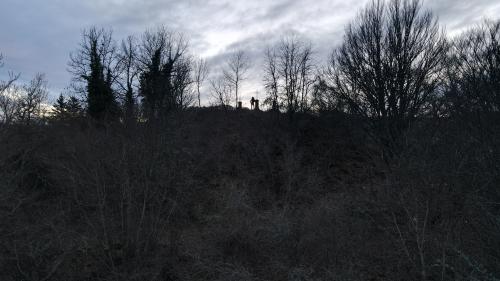 DJI_2207.JPG